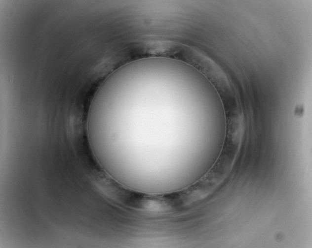 X0000103960510200809191514