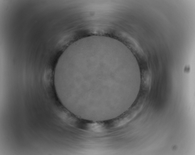 X0000103960511200809191514