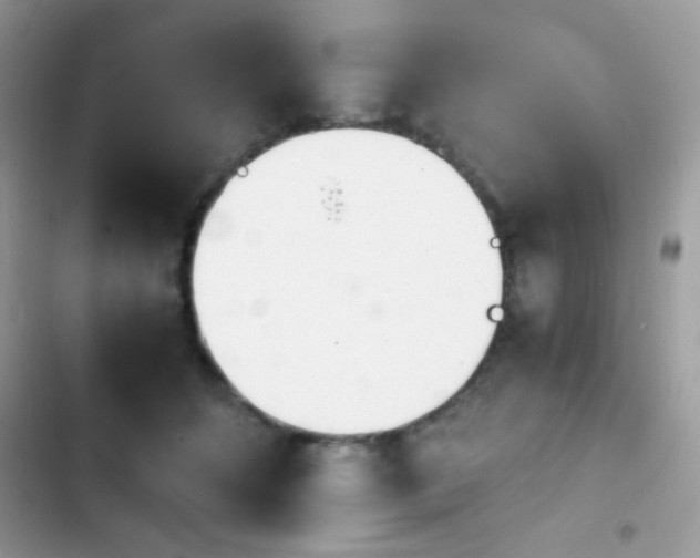 X0000103960512200809191514