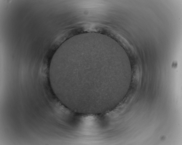 X0000103960513200809191514