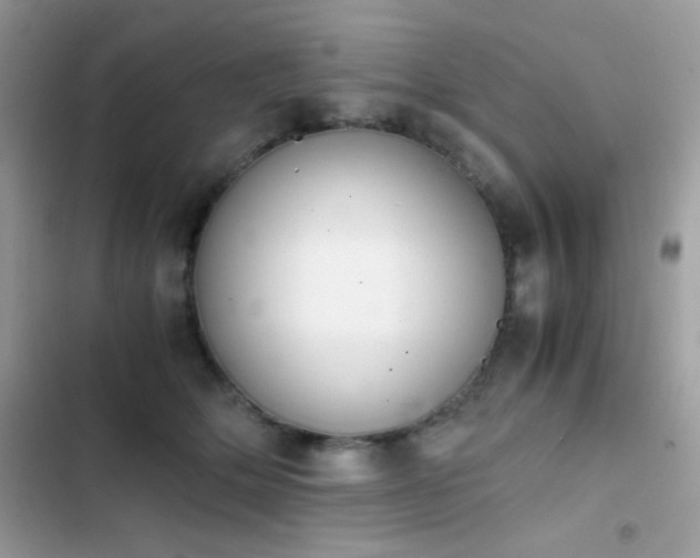 X0000103960514200809191514