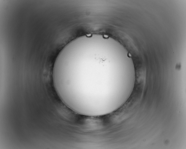 X0000103960515200809191514