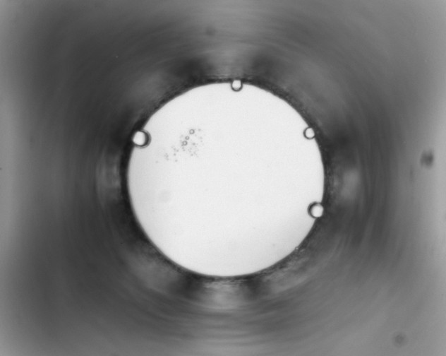 X0000103960516200809191514