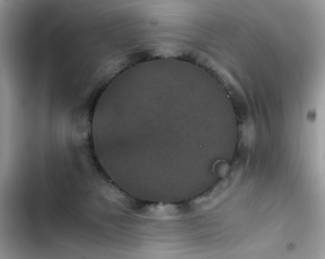 X0000103960517200809191514