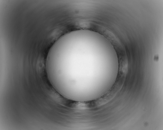 X0000103960518200809191514