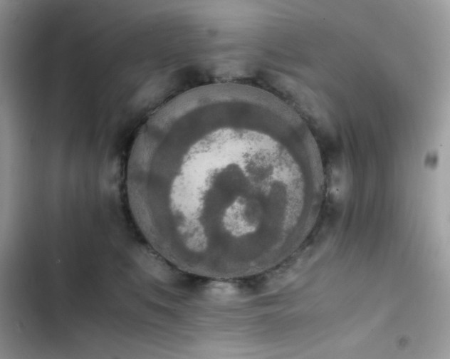 X0000103960519200809191514