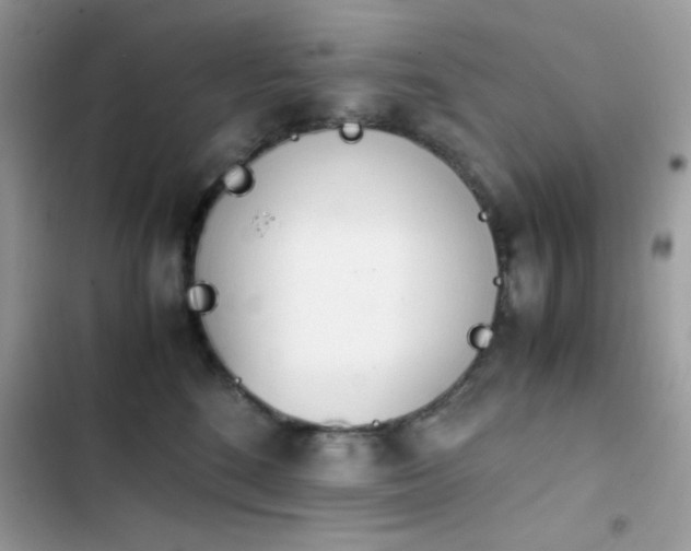 X0000103960520200809191514