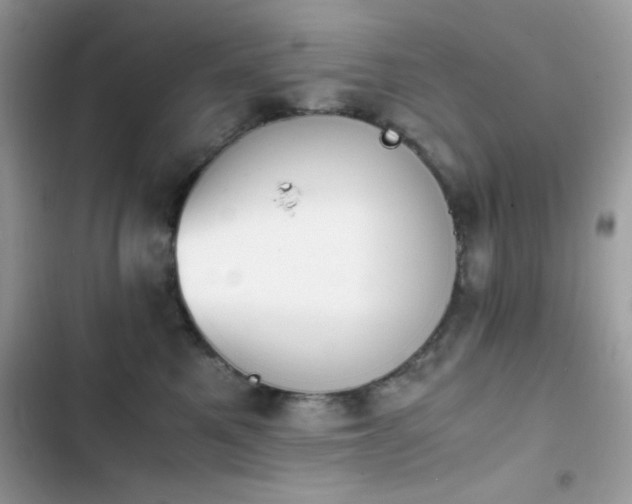 X0000103960521200809191514