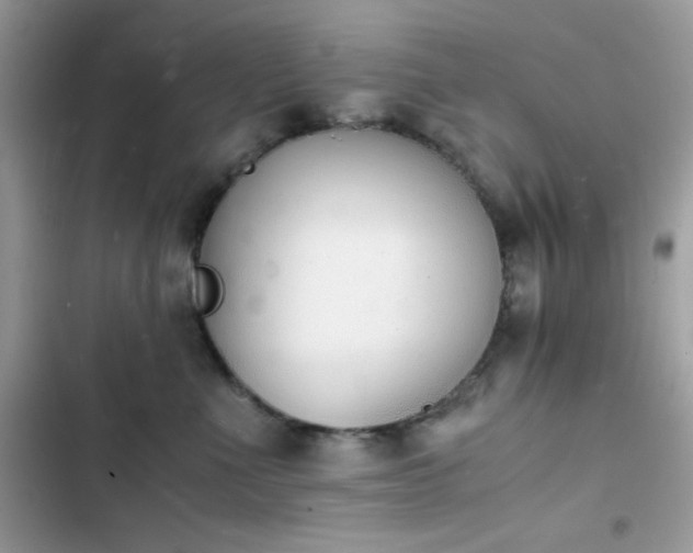 X0000103960523200809191514
