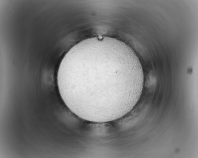 X0000103960524200809191514