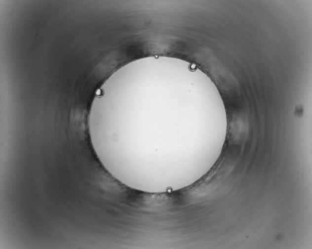 X0000103960525200809191514