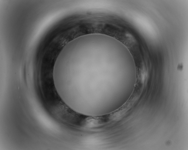X0000103960526200809191514