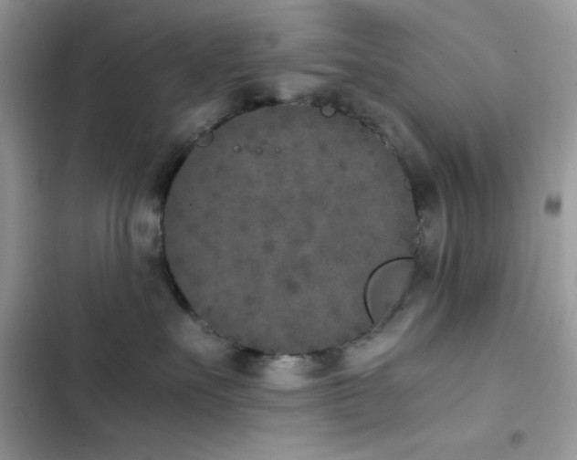 X0000103960527200809191514