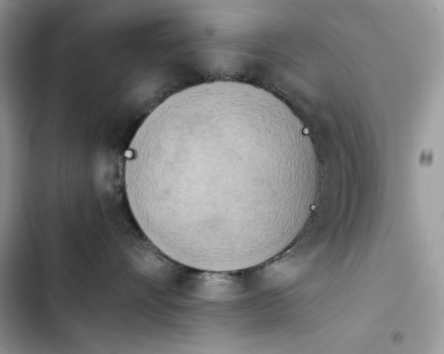 X0000103960528200809191514