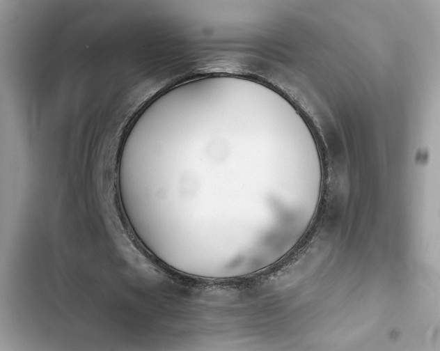 X0000103960529200809191513