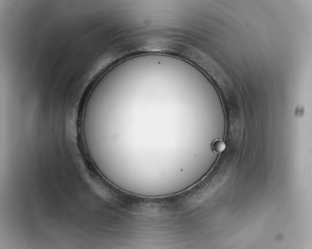X0000103960530200809191513