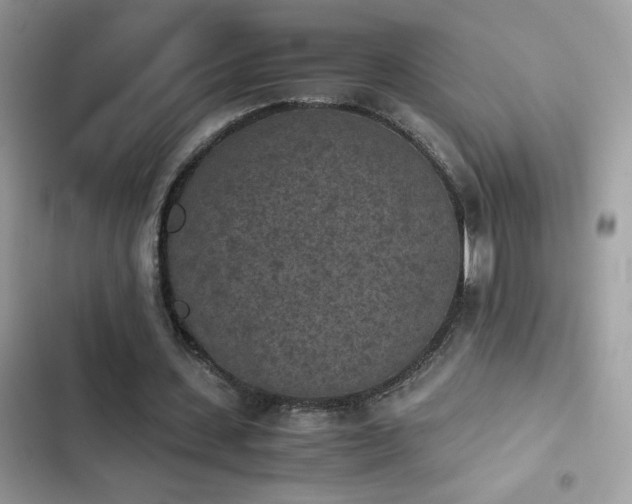 X0000103960531200809191513