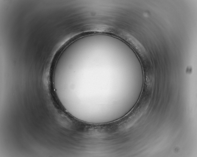 X0000103960532200809191513