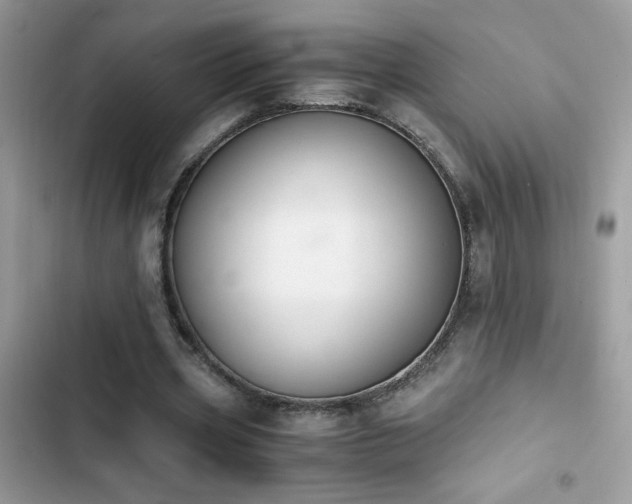X0000103960533200809191513