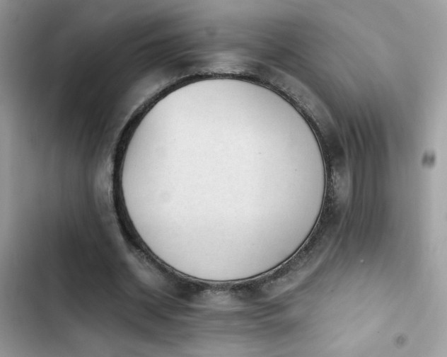 X0000103960534200809191513