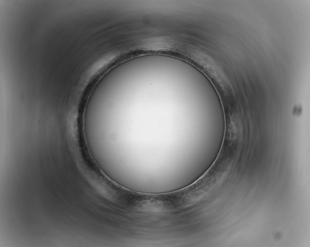 X0000103960535200809191513
