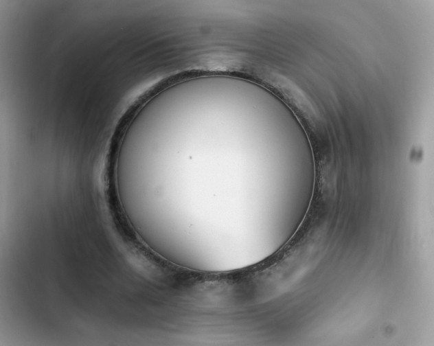 X0000103960536200809191513