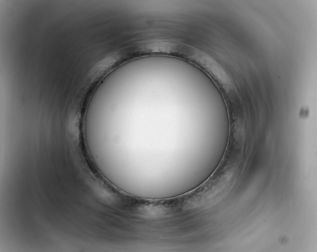 X0000103960537200809191513