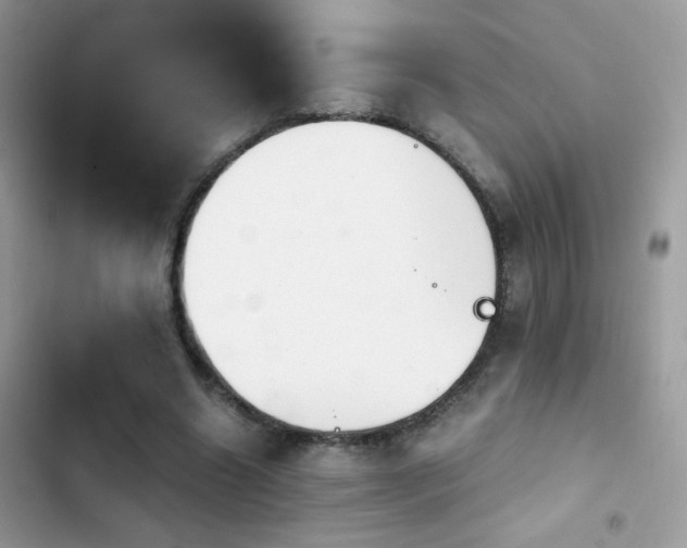 X0000103960538200809191513