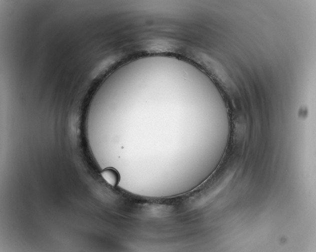 X0000103960539200809191513