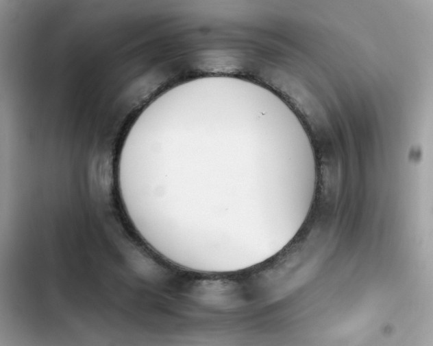 X0000103960541200809191513
