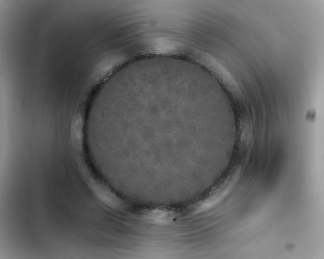X0000103960542200809191513