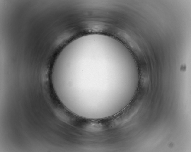 X0000103960543200809191513