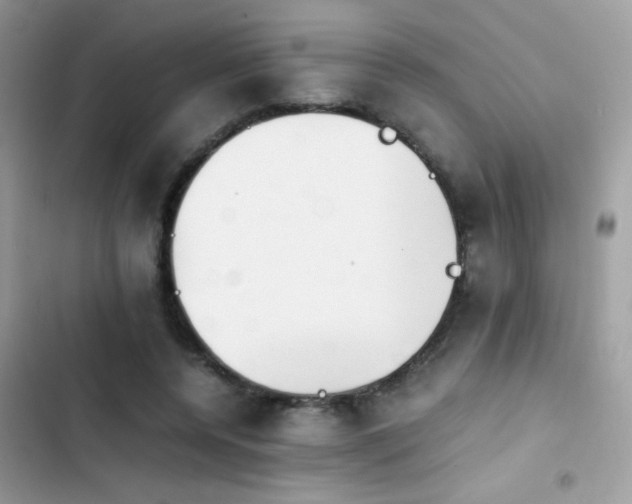 X0000103960544200809191513