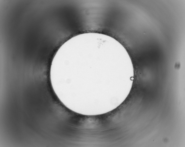 X0000103960546200809191514