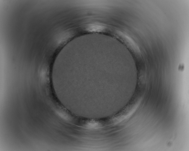 X0000103960547200809191514