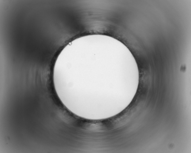 X0000103960548200809191514