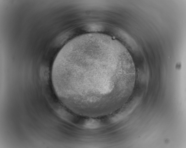 X0000103960549200809191514