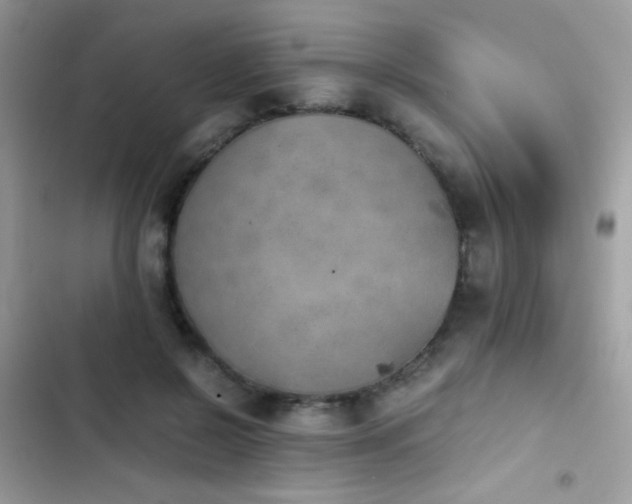 X0000103960550200809191514