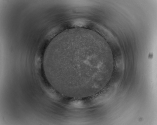 X0000103960551200809191514