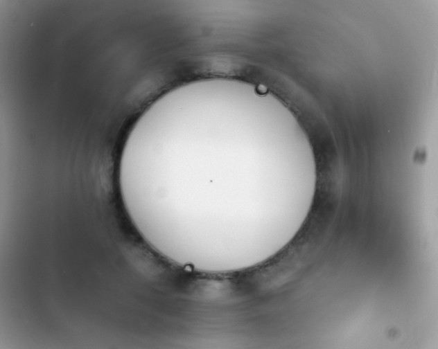 X0000103960552200809191514