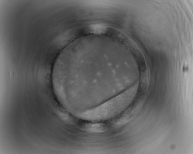 X0000103960553200809191514