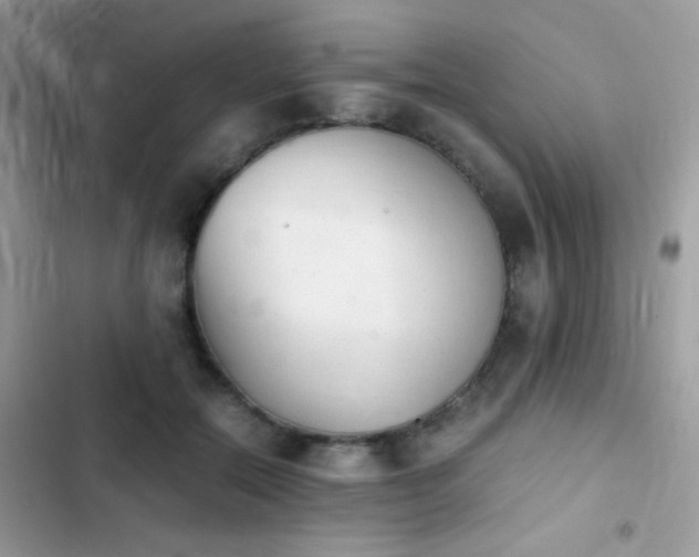 X0000103960554200809191514