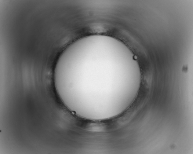 X0000103960556200809191514