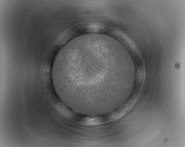 X0000103960557200809191514
