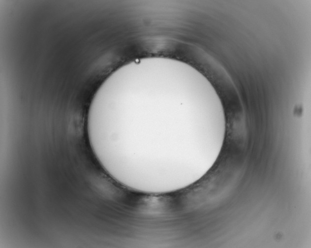 X0000103960558200809191514