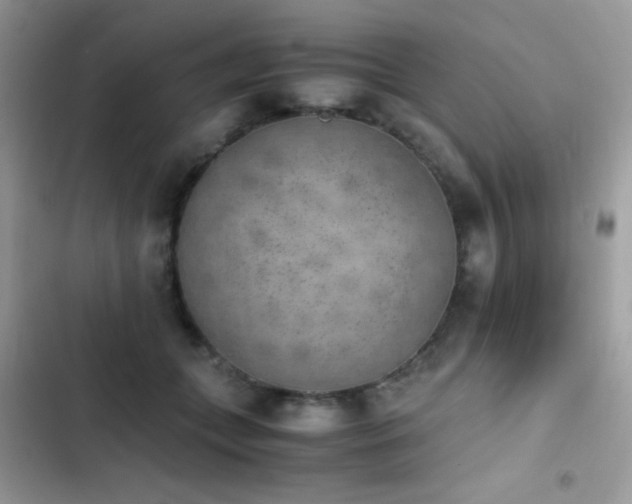 X0000103960559200809191514