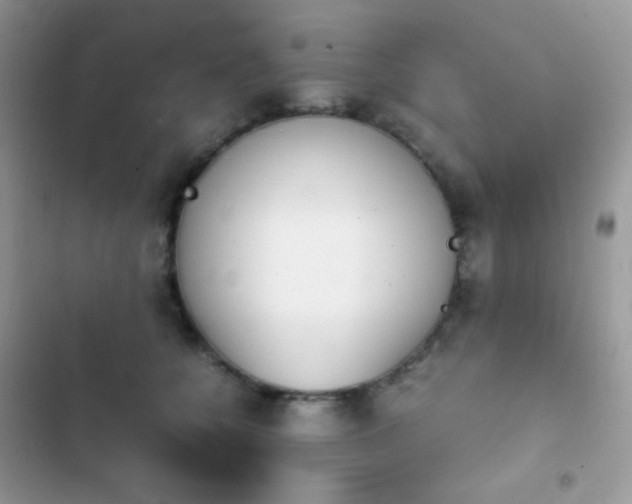 X0000103960560200809191514