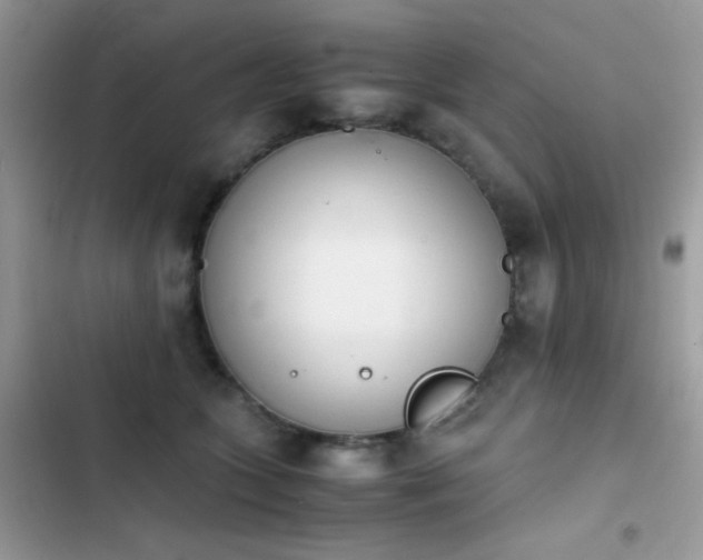 X0000103960563200809191514