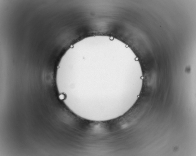 X0000103960564200809191514