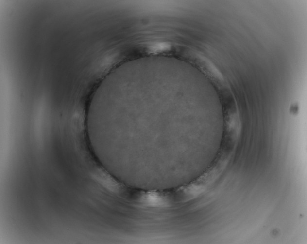 X0000103960565200809191514
